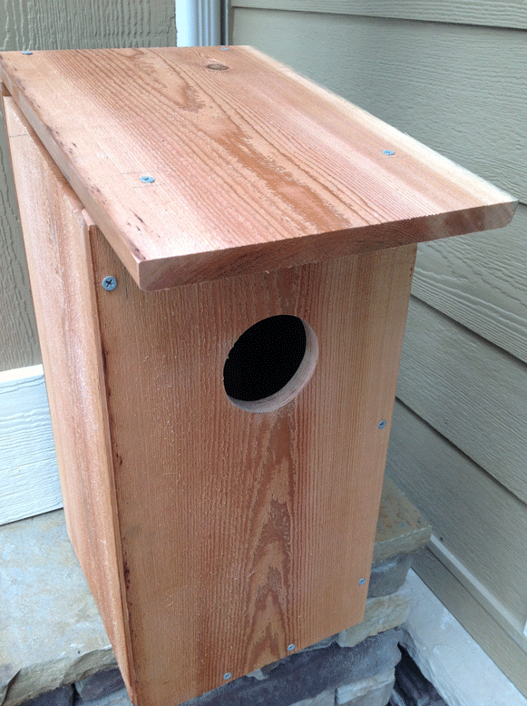 designed the owl box with a side door as I do all my birdhouses to 