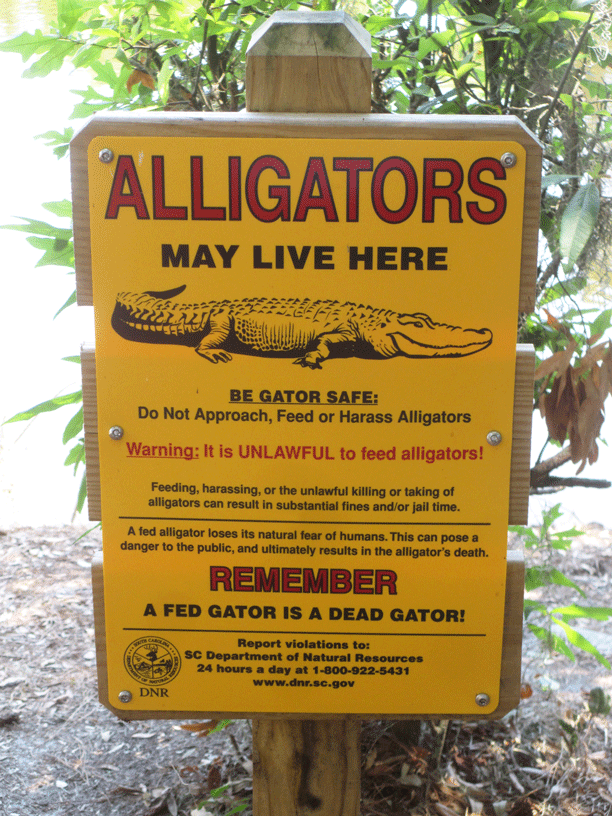 Do-not-feed-the-alligator-sign-Hilton-Head-South-Carolina