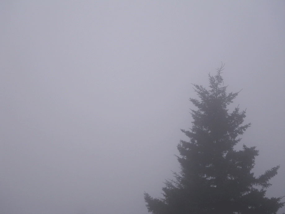 fog-on-the--mountain